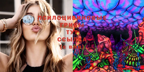 прущие грибы Наволоки