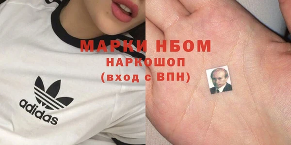 стаф Надым