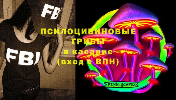 тгк Алзамай