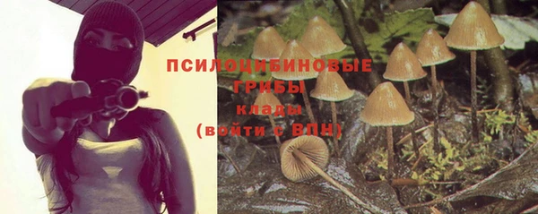 стаф Надым